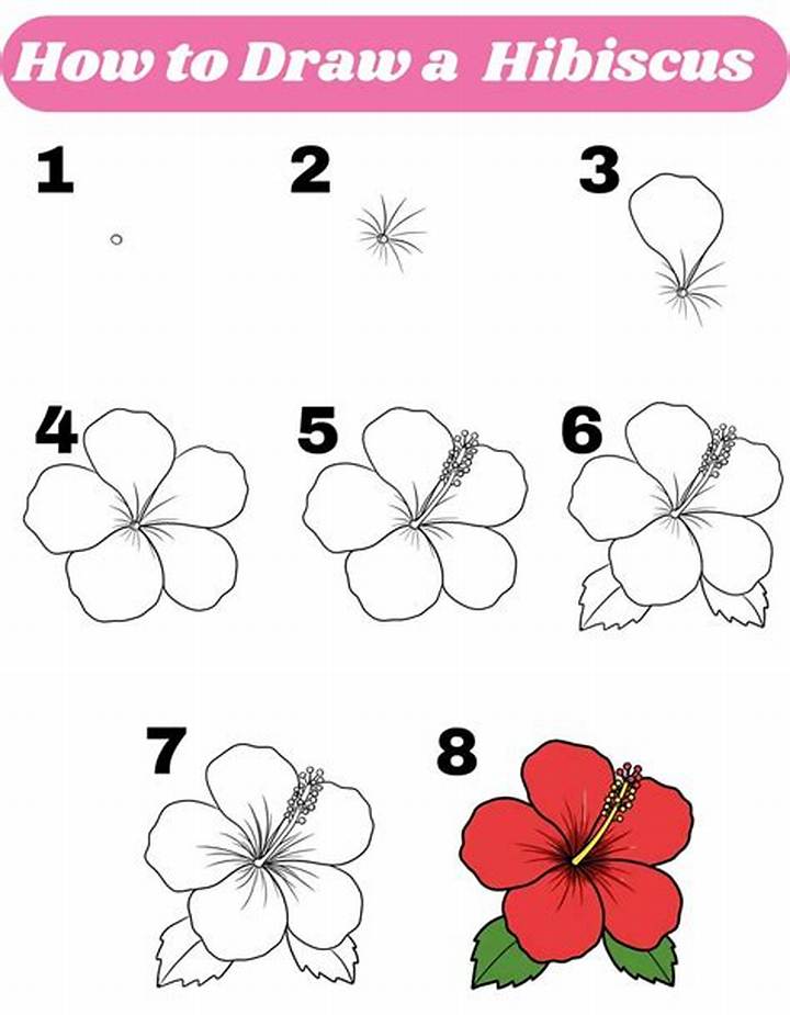 How to Draw a Hibiscus Flower: Step-by-Step Petals, Leaves, and Detail
