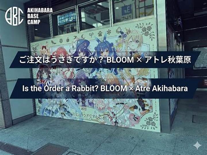 Https: //Www. Adelakun. Org/Akihabara-1/5878326/
