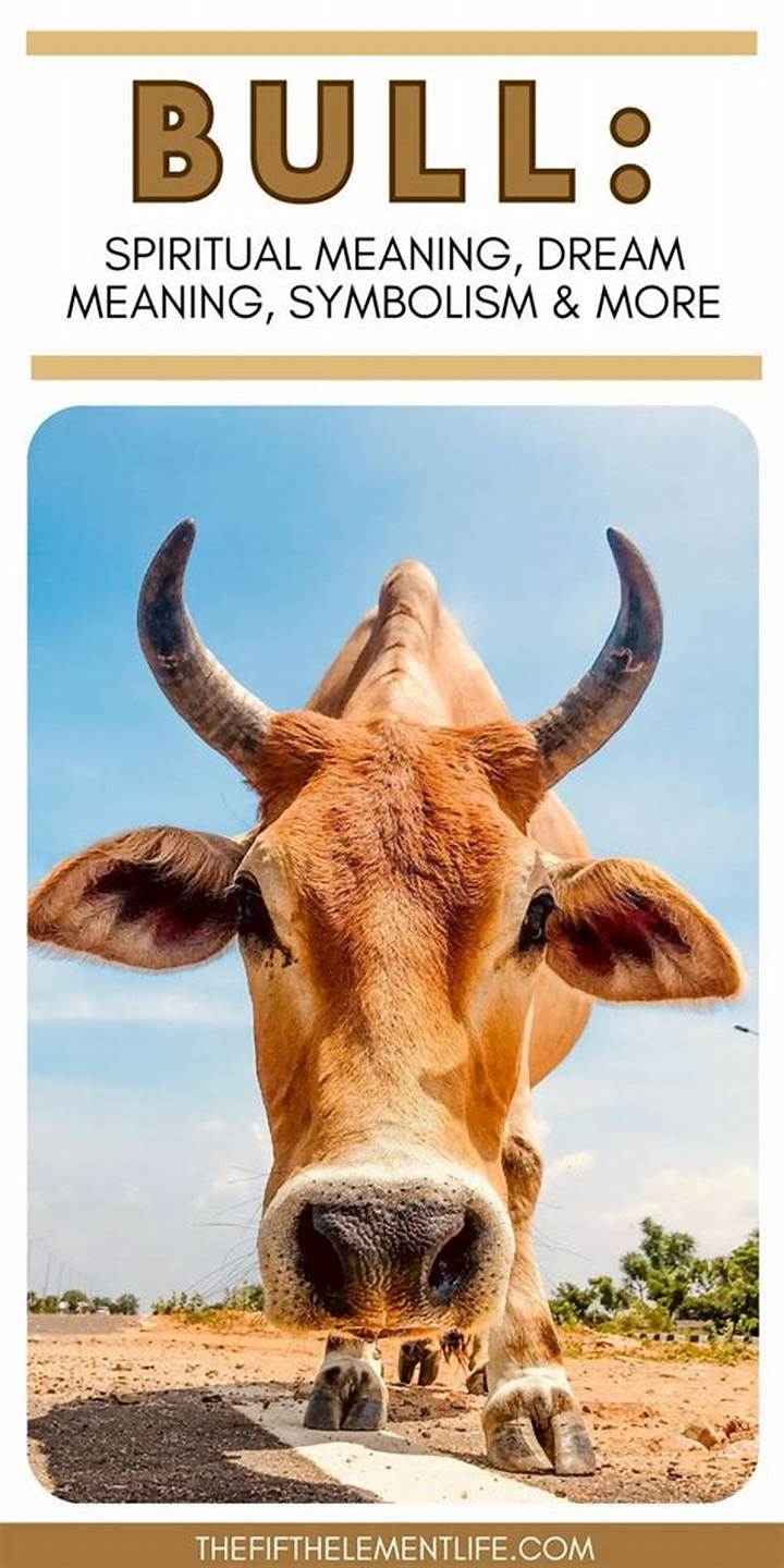 I Just Made Some Bull: What It Means, Where It Comes From, and Why People Say It