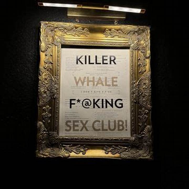 Killer Whale Sex Club: What People Mean, Why It Spreads, and What’s True