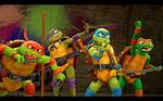 Mega Mutant Battle - Teenage Mutant Ninja Turtles Games