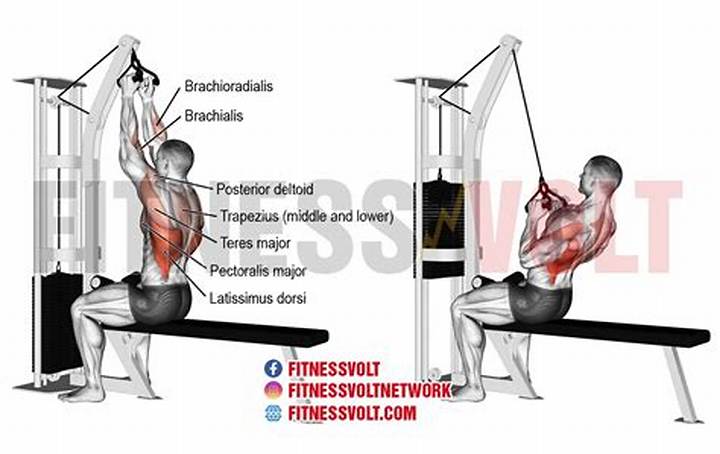 Neutral Grip Lat Pulldown: Form, Benefits, Cues, and Common Mistakes