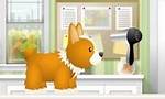 Pet-Grooming Studio - Animal Games