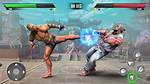 Play Fighting Games for Free!