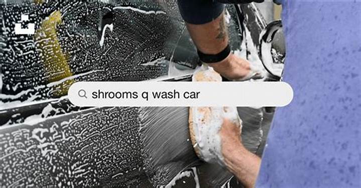 Shrooms Q Car Wash: What It Means, How It Works, and What to Know