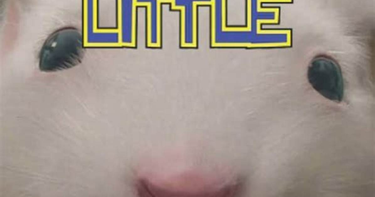Stuart Little 2 Coloring Book