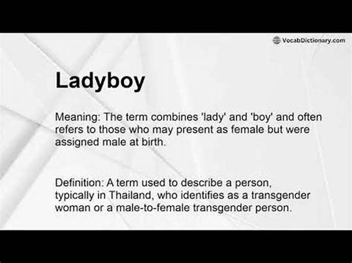 Teen Ladyboyとは何か：言葉の背景と安全に知る基礎知識