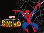 The Spectacular Spider-Man Photo Hunt