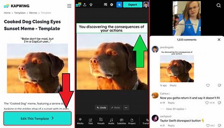 Tiktok Comment Pictures & Memes: Why They Spread—and How to Use Them