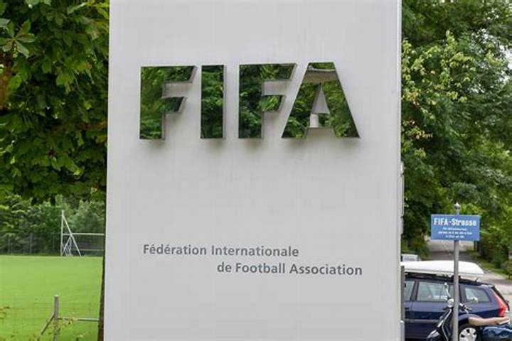 What Does Fifa Stand for? the Real Meaning Behind World Football